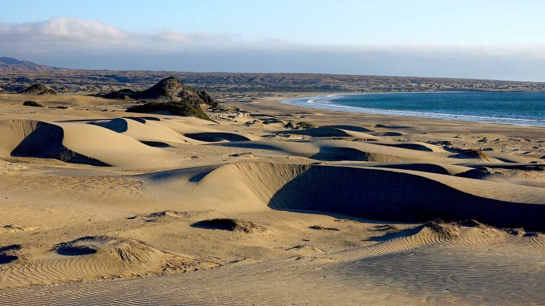 Desierto de Sechura 