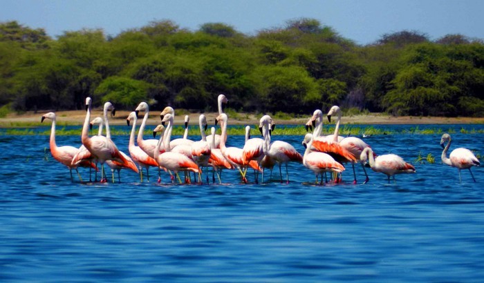 Estuario de Virrilá 